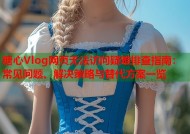 糖心Vlog网页无法访问疑难排查指南：常见问题、解决策略与替代方案一览