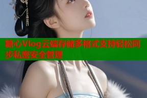 糖心Vlog云端存储多格式支持轻松同步私密安全管理