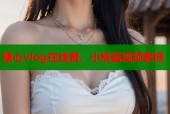 糖心vlog在线看，小桃酱视频集锦