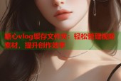 糖心vlog缓存文件夹：轻松管理视频素材，提升创作效率