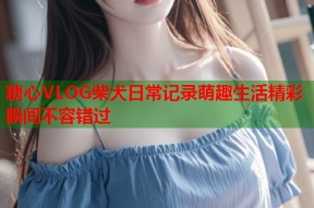 糖心VLOG柴犬日常记录萌趣生活精彩瞬间不容错过