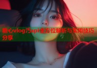 糖心vlog汅api全方位解析与实用技巧分享