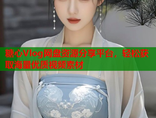 糖心Vlog网盘资源分享平台，轻松获取海量优质视频素材  第2张