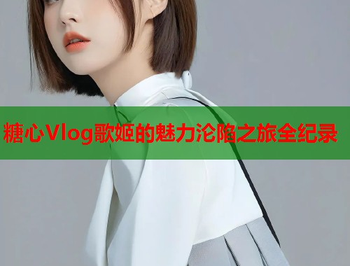 糖心Vlog歌姬的魅力沦陷之旅全纪录  第2张